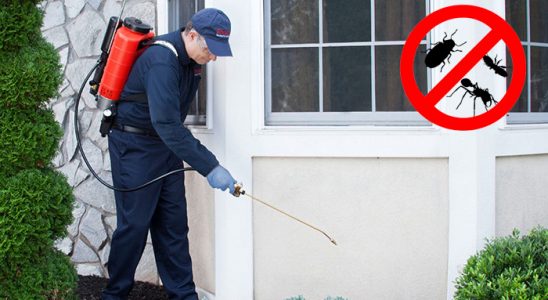 Düzköy Akrep İlaçlama böcek ilaçlama ve haşere kontrolü — ilaclama-tr.com
